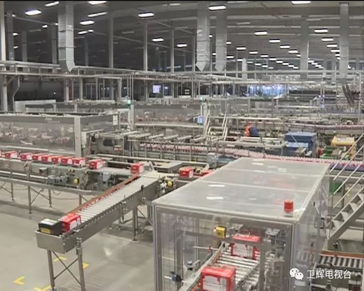 【揭秘】探訪唐莊鎮(zhèn)百威啤酒工廠,偌大的車間,連個人都看不到